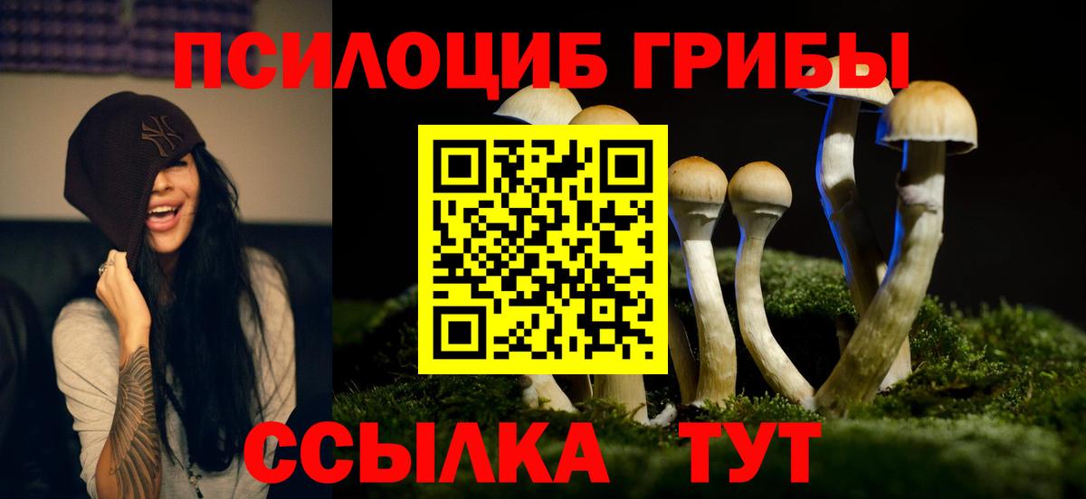 Гашиш  Мефедрон кристаллы  ГАШ  Где купить наркотики?  COCAIN  Семёнов  A PVP СК кристаллы  Канабис  Вход с VPN 