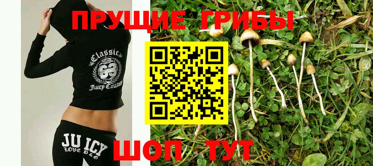 Галлюциногенные грибы ЛСД  Вход с VPN  Псилоцибиновые грибы Psilocybe  Семёнов 